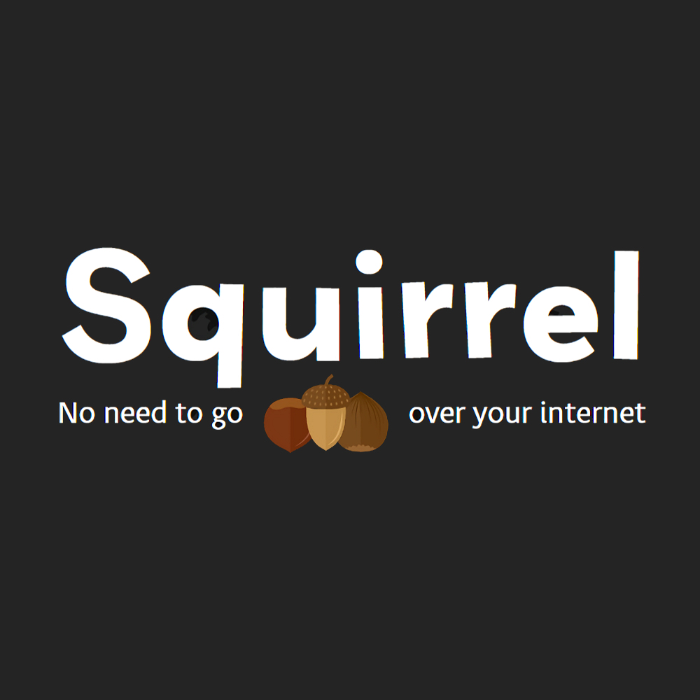 Squirrel Internet Ltd logo